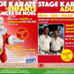 Stage karaté Noël