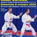 Stage Kata Bunkai le 6 octobre 2024 avec la FELICE TEAM