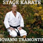 15 novembre 2025 : Stage karaté avec Giovanni Tramontini