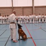 Stage de Giovanni Tramontini du 15 novembre 2025